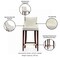 Manhattan Comfort Shubert Barstool in Ivory - Set of 2 2-BS019-IV - alternate 5